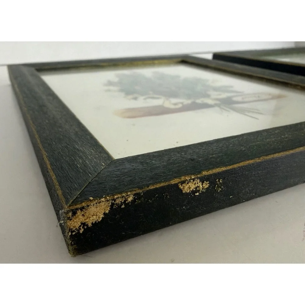 Vtg Set of 2 Peggy Abrams Cottage Herbs Oregano/Basil‎ Framed Prints Green